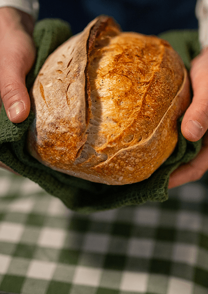 Hands holding freshly baked artisan sourdough loaf